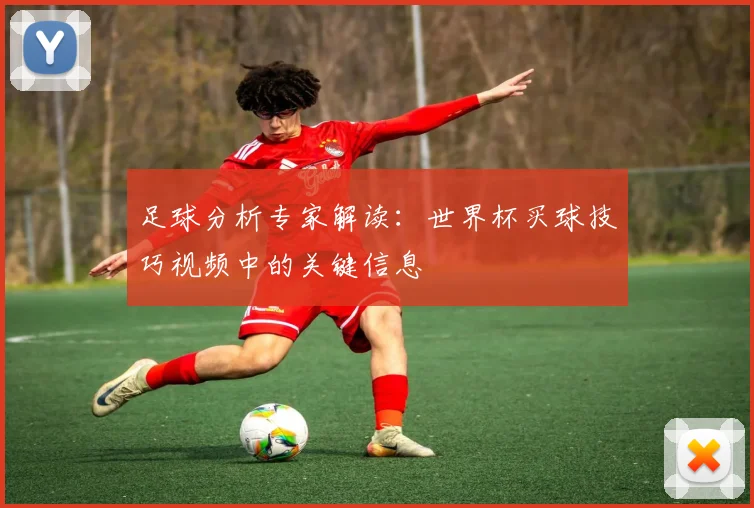 足球分析专家解读：世界杯买球技巧视频中的关键信息