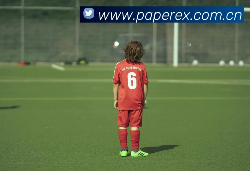 爱游戏网站主页入口平台生态图